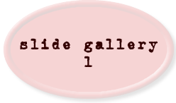 slide gallery 1