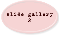 slide gallery 2